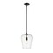 Z-Lite Joliet 1 Light Pendant, Matte Black & Clear 473P9-MB - alternate 1
